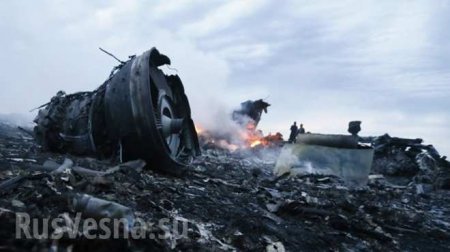 Boeing MH17: В Голландии уличили Киев во лжи о публикации списка из 120 подозреваемых