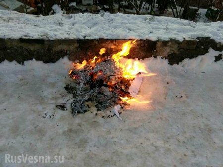 Неонацисты попытались поджечь православный монастырь в Киеве (+ФОТО, ВИДЕО)