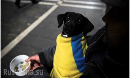 Бедность — угроза национальной безопасности Украины