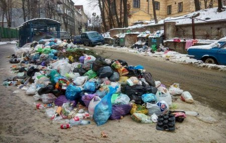 Вред от «бандеровского мусора» во Львове хотят компенсировать развитием эле ...