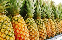 Госстат: больше всего ананасов Украина продала Польше и Беларуси