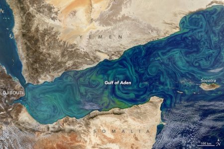 Цветение в Аденском заливе: фото со спутника