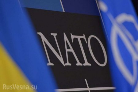 «Вам нужно сделать очень многое», — заместитель генсека НАТО осадила Украину