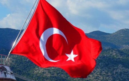 МИД Турции: атака на Сирию – проявление совести человечества