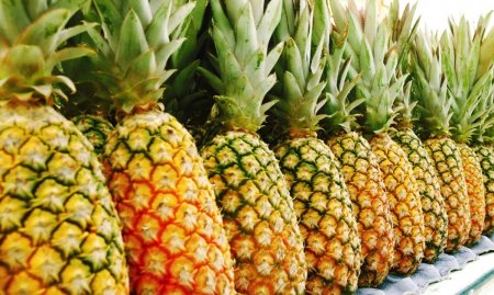Госстат: больше всего ананасов Украина продала Польше и Беларуси