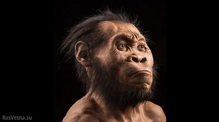 Российские ученые «оживили» древних людей, вымерших триста тысяч лет назад