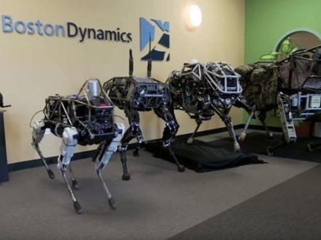 Boston Dynamics запустит продажи роботов-собак в следующем году