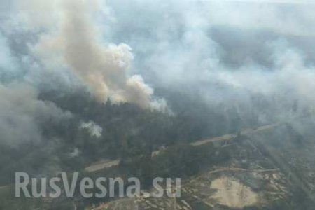 Киев в опасности: в Чернобыльской зоне полыхают лесные пожары (ФОТО)