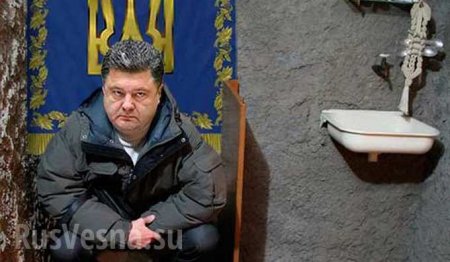 Лавров указал на место Порошенко в мировой политике: уровень Петра — «случайная встреча у туалета»