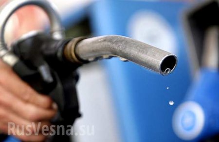 Правительство заморозило цены на топливо до конца года