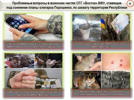 ВСУ атакуют крысы: сводка о военной ситуации на Донбассе (ИНФОГРАФИКА)