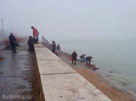 Шок: жители Бердянска вынуждены ходить с ведрами на море, чтобы смыть за собой унитаз (ФОТО, ВИДЕО)