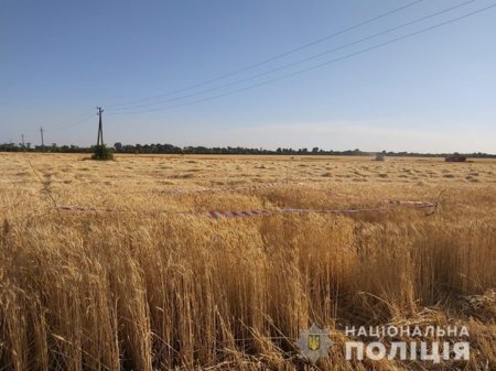 В Харьковской области неизвестные "заминировали" поле