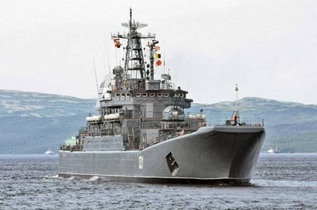 БДК "Александр Отраковский" отработал высадку десанта на берег Баренцева моря