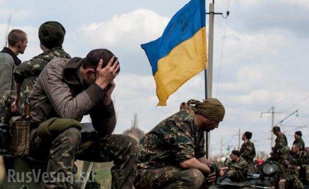 В Минобороны Украины озвучили потери карателей на Донбассе (ИНФОГРАФИКА)