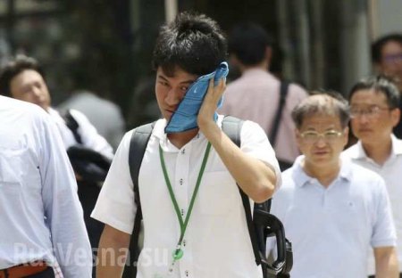 В Японии адская жара убила почти 60 человек за неделю (ФОТО, ВИДЕО)