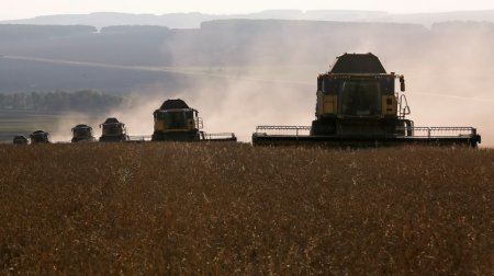 Independent: брексит без сделки разорит более половины фермеров Великобрита ...