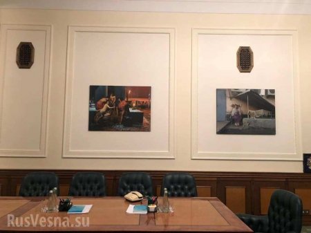 Голая женщина, пингвины и шаурма: удивительные кадры из Офиса президента Украины (ФОТО)