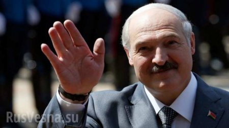 Лукашенко: Белоруссия может провести Олимпиаду вместе с Россией или Украиной