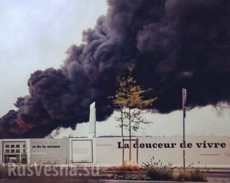 «Апокалипсис»: катастрофа на химзаводе поставила под удар 13 городов во Франции (ФОТО, ВИДЕО)