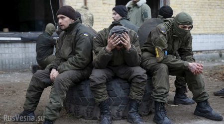 Каратели мучаются на Донбассе — Киев издевается над собственной армией (+ВИДЕО)