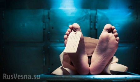 ЛНР передала Украине останки погибших «всушников» (ФОТО, ВИДЕО 18+)