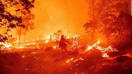 Апокалипсис в Калифорнии: люди сгорают заживо (ФОТО, ВИДЕО)