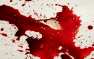 Жестокое убийство семьи в Подмосковье: подозреваемые задержаны (ФОТО)