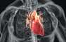 Осложнения на сердце: в США расширен список побочных эффектов вакцин Pfizer ...