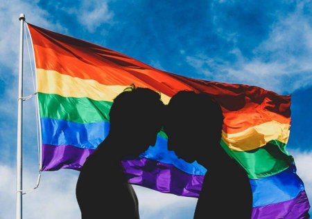 Пикап въехал в гей-парад в США: есть жертвы (ФОТО, ВИДЕО)