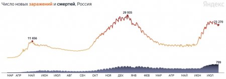 6,2 млн заражений: коронавирус в России