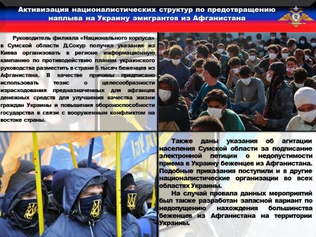 Террористов готовятся перебрасывать в Россию: вскрыт преступный план украинских пограничников и неонацистов (ФОТО)