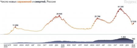 Число заражений растёт: коронавирус в России