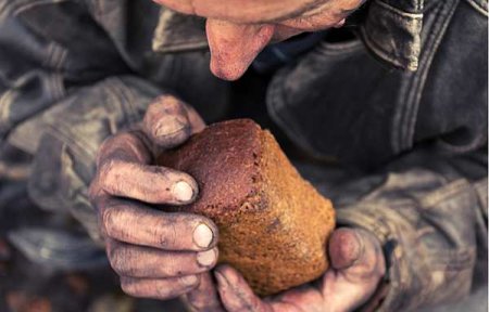 Украинцы могут остаться без хлеба: производители заявили о катастрофе