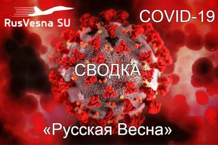 Пик заражений в Петербурге: коронавирус в России
