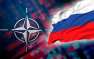 На саммите НАТО испугались русского блюда