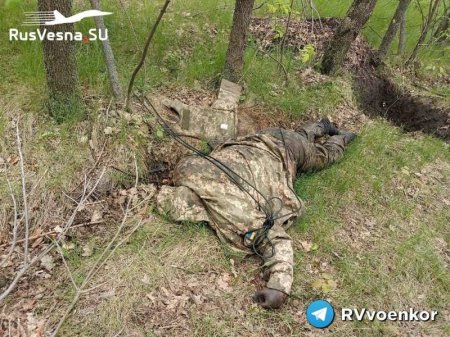 Спецназ «Отважных» ликвидировал комбата ВСУ в Лисичанске (ФОТО 18+)