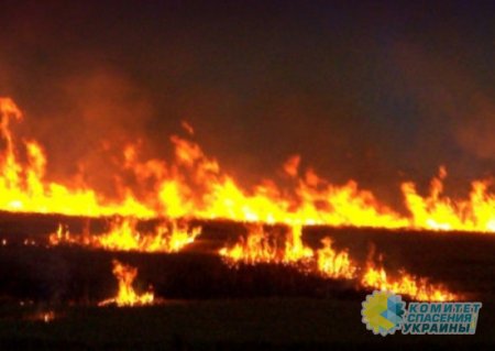 Киевский режим сжигает пшеничные поля на Херсонщине