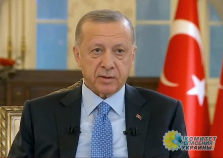 Эрдоган назначил себя посредником в переговорах Зеленского и Путина