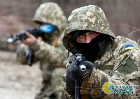 Боевики киевского режима получили маскхалаты