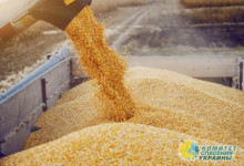 Словакия запретила зерно, выращенное на Украине
