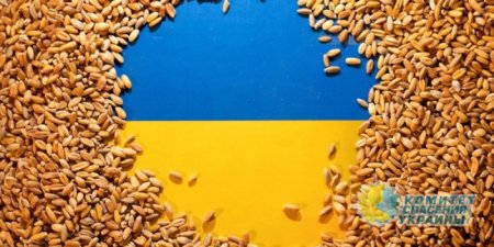 Польша согласилась возобновить транзит украинского зерна