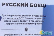 Украинские нацисты разбрасывают в Белгородской области листовки с призывом  ...