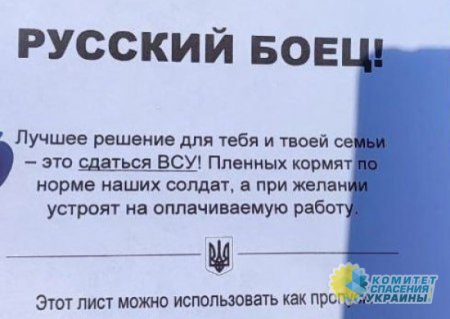 Украинские нацисты разбрасывают в Белгородской области листовки с призывом сдаваться