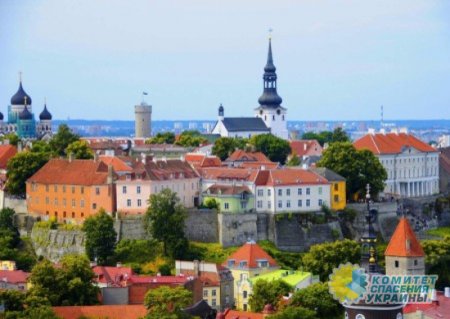 Эстонцы запретили въезд в страну на авто с российскими номерами