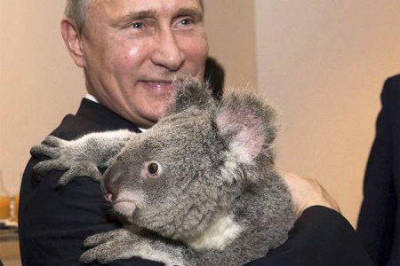 Отношения России и Австралии разрушены до основания, — посол