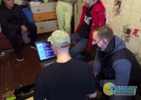 На Кузбассе разоблачили хакера, завербованного украинскими спецслужбами