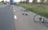 Под Киевом грузовик сбил девять велосипедистов: есть погибшие (ФОТО, ВИДЕО)
