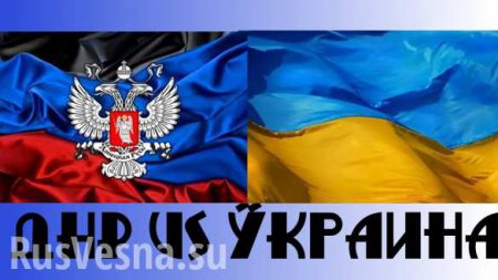 Чем ДНР лучше Украины? (ВИДЕО)