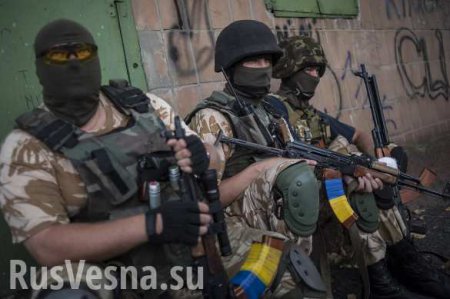 Народная милиция ликвидировала ДРГ ВСУ, планировавшую теракты в ЛНР